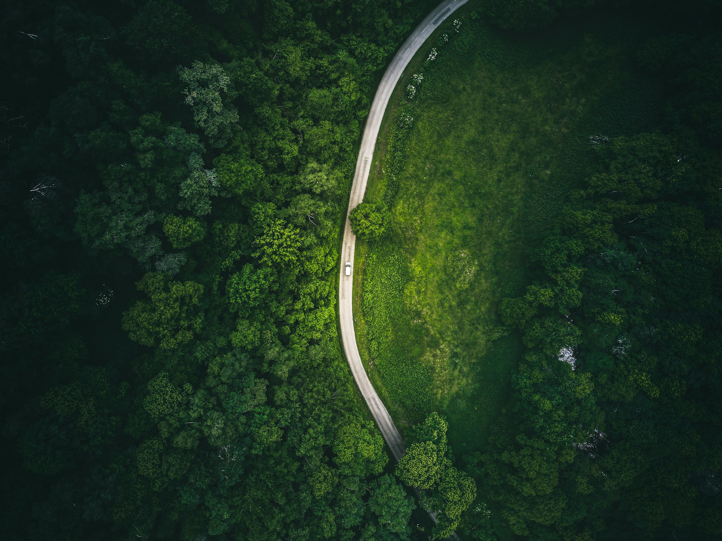 Kurvenreiche Strasse durch einen dichten Wald von oben